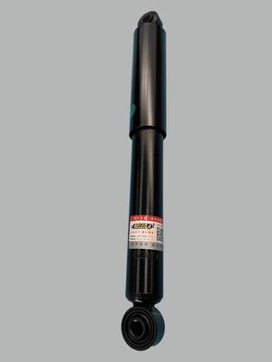 CN110V后